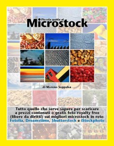 Guida ai Microstock